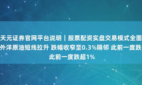 天元证券官网平台说明｜股票配资实盘交易模式全面介绍 外洋原油短线拉升 跌幅收窄至0.3%隔邻 此前一度跌超1%